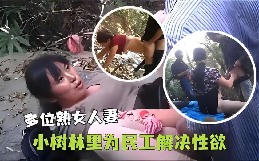 多位熟女人妻小树林里为民工解决性欲