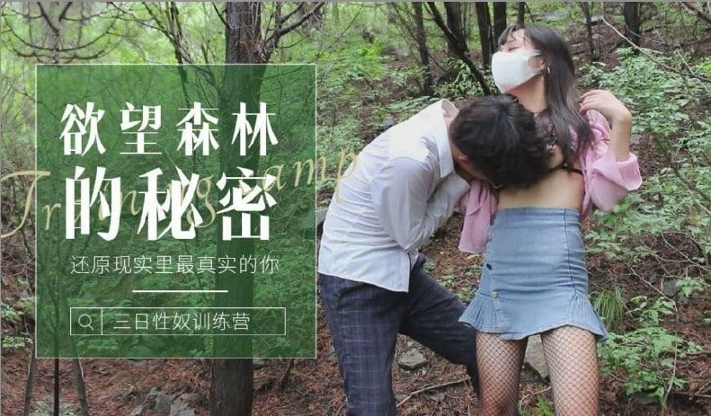 森林的的秘密-还原现实里最真实的你.